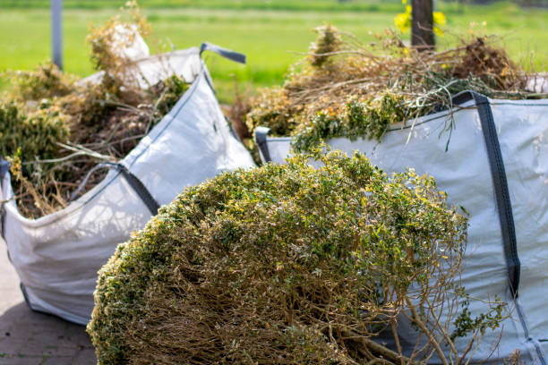 Basement Cleanout Services in Galion, OH